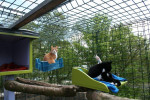 Rover en Nora